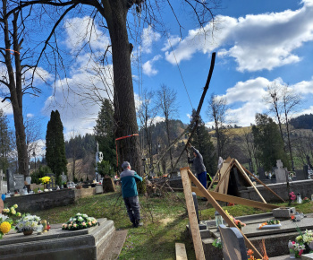 Aktuality / Na našom cintoríne sme opílili na stromoch nebezpečné konáre  - foto