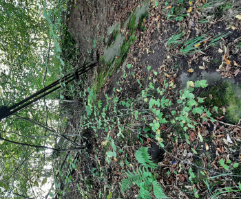 Aktuality / Prechod cez miestnu lavicu ponad rieku Orava je uzatvorený - foto