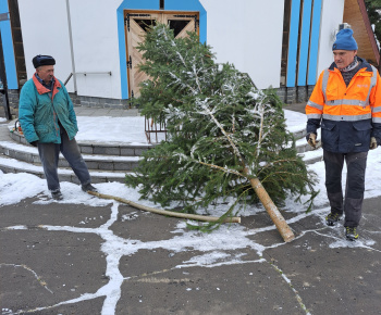 Aktuality / Postavili sme Vianočný stromček pre našim kostolom - foto