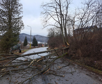 Aktuality / Z cesty III. triedy pri železničnej stanici sme odstránili nebezpečný strom - foto