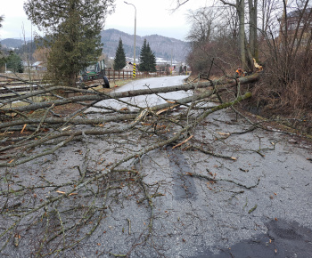 Aktuality / Z cesty III. triedy pri železničnej stanici sme odstránili nebezpečný strom - foto