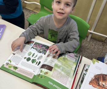 Aktuality / Zapojenie našej materskej školy do projektu 