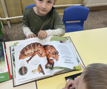 Aktuality / Zapojenie našej materskej školy do projektu 