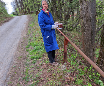 Aktuality / Členovia miestneho spolku SČK brigádovali  - foto