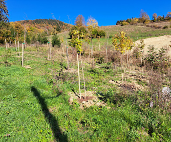 Aktuality / Práce na výstavbe vodovodu v lokalite Hore Pucové je ukončený - foto