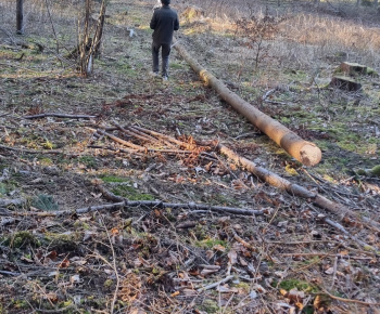 Aktuality / Príprava na stavanie 1. mája - 12. apríla 2025 - foto