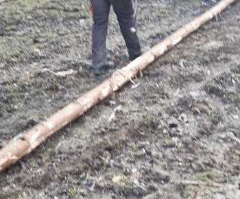 Aktuality / Príprava na stavanie 1. mája - 12. apríla 2025 - foto