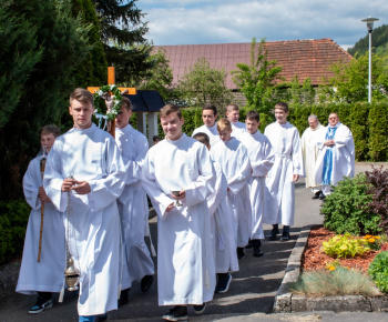Aktuality / Odpustová slávnosť na počesť Panny Márie - pomocnice kresťanov - foto