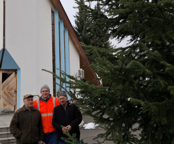 Aktuality / Vianočný stromček pre kostolom sme postavili - foto