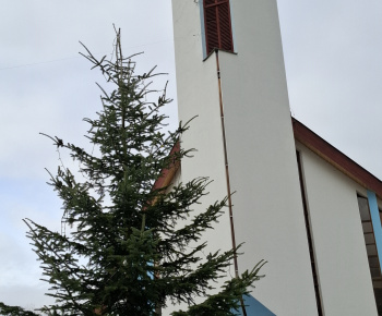 Aktuality / Vianočný stromček pre kostolom sme postavili - foto