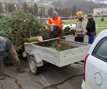 Aktuality / Vianočný stromček pre kostolom sme postavili - foto