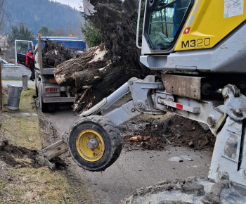 Aktuality / Úprava brehov Pucovského potoka - 2.03.2026 - foto