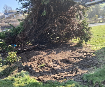 Aktuality / Úprava okolia nášho Božieho chrámu - foto