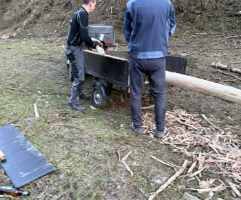 Aktuality / Máj je pripravený na postavenie - foto