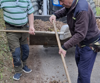 Aktuality / Členovia miestneho spolku SČK v piatok 24.4.2025 brigádovali - foto