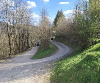 Aktuality / Členovia miestneho spolku SČK v piatok 24.4.2025 brigádovali - foto