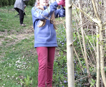 Aktuality / Členovia miestneho spolku SČK v piatok 24.4.2025 brigádovali - foto