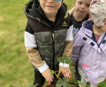 Aktuality / Sadíme jahôdky v školskej záhrade - foto