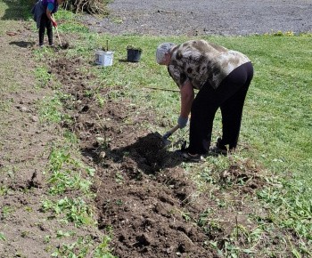 Aktuality / Úprava okolia nášho kostola - foto