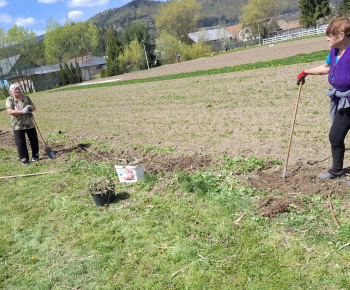 Aktuality / Úprava okolia nášho kostola - foto