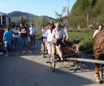 Ako stavali máj naši mládenci 