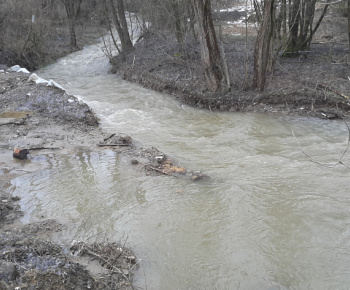 Upravený tok Pucovského potoka 2/2023
