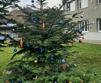 Deti zdobia vianočný stromček - 5.12.2022