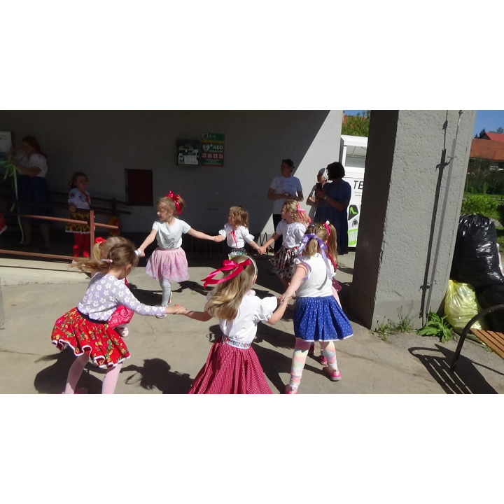 Stavanie mája v našej materskej škole Zvedavá Lienka