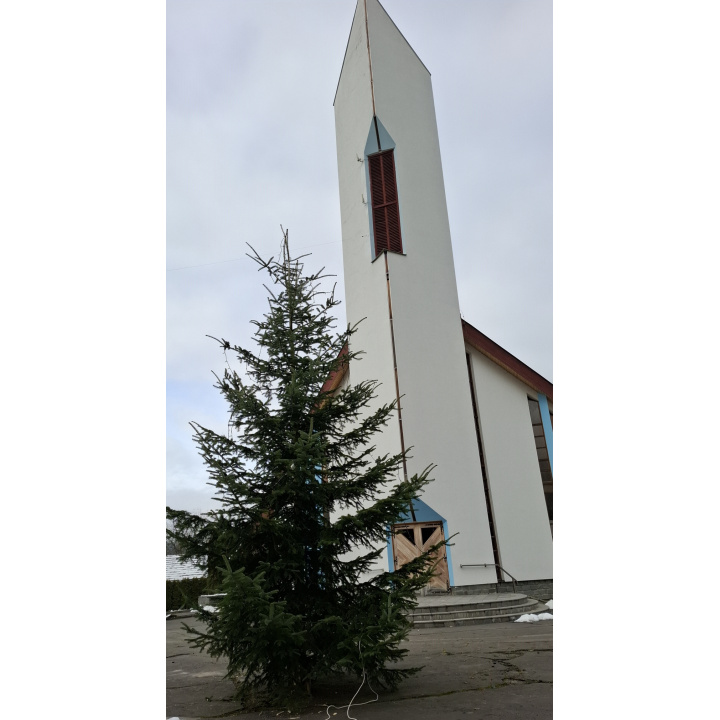 Vianočný stromček pred našim kostolom sme postavili